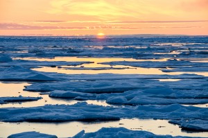 Arctic Ocean view from the CCGS Amundsen, 2014. Credits: Pierre Coupel, Takuvik.