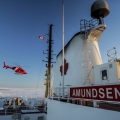 Amundsen Ice-1