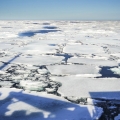 Amundsen Ice-2