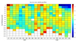 Figure 4. Time series of salinity profiles in the sea ice cores during the Green Edge ice camp 2016.